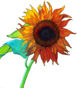 Single Sunflower - Painting by Ken Van Der Does